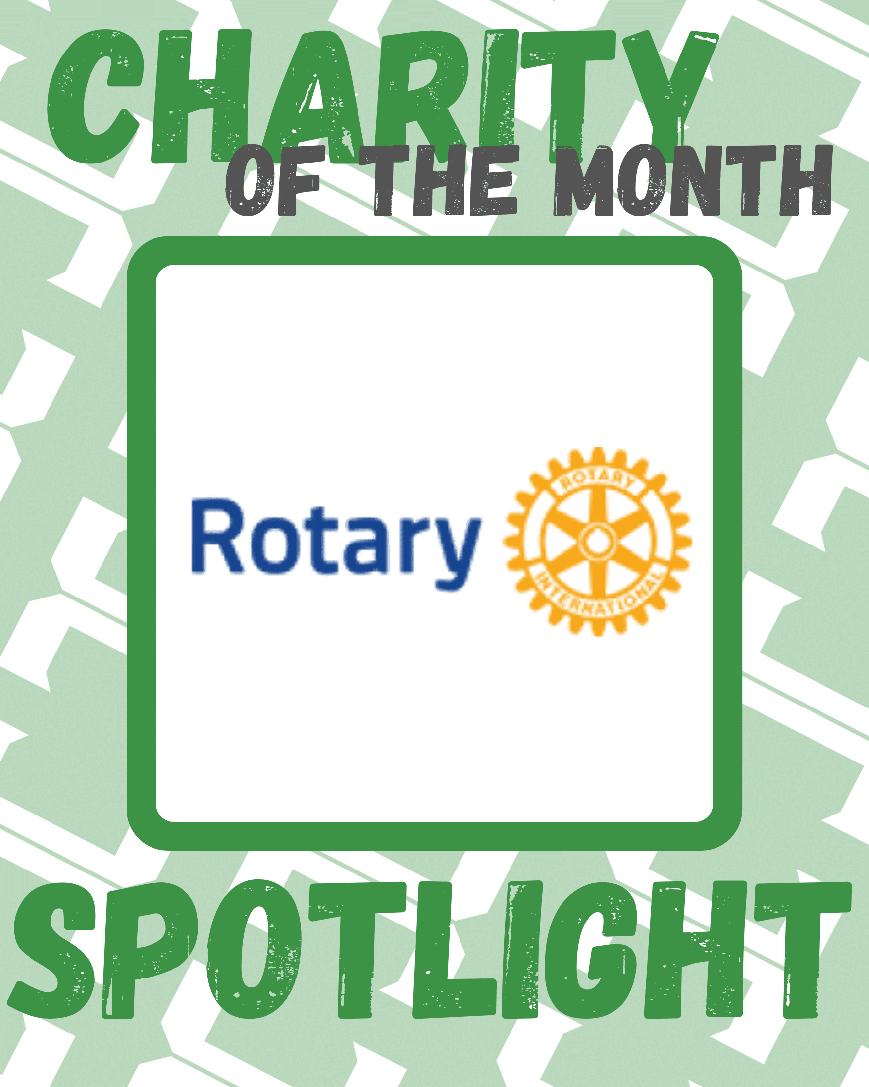 Rotary Club of Eastbourne – November Charity of The Month 10 IMG 0115 • Hailsham Chamber of Commerce